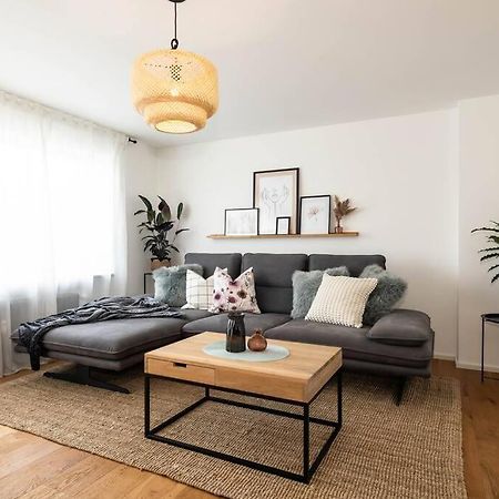 Luxury Apartment On The Rhein ビュージンゲン・アム・ホッホライン エクステリア 写真