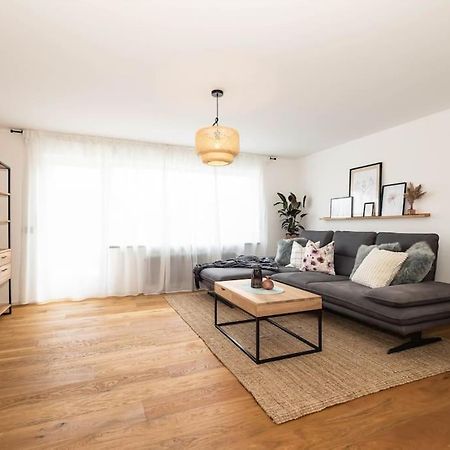 Luxury Apartment On The Rhein ビュージンゲン・アム・ホッホライン エクステリア 写真