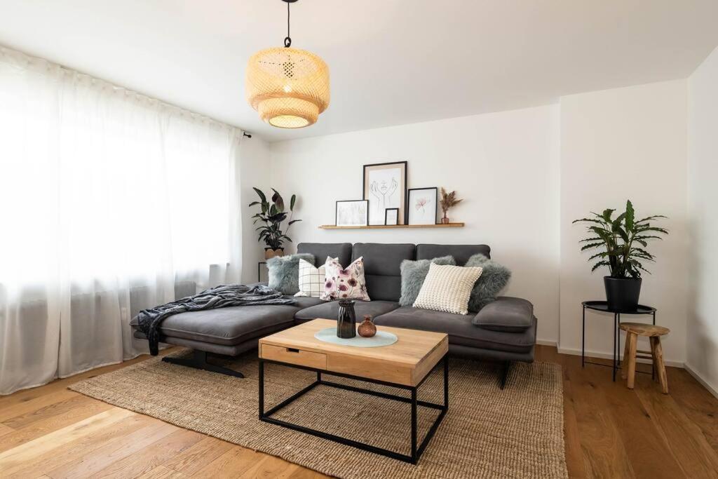 Luxury Apartment On The Rhein ビュージンゲン・アム・ホッホライン エクステリア 写真