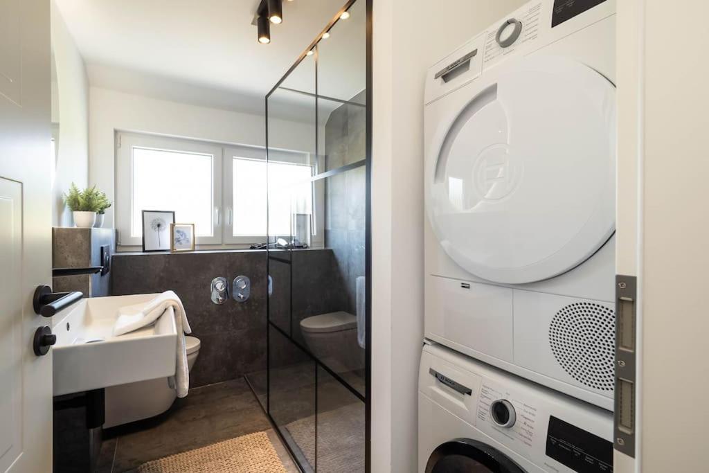 Luxury Apartment On The Rhein ビュージンゲン・アム・ホッホライン エクステリア 写真