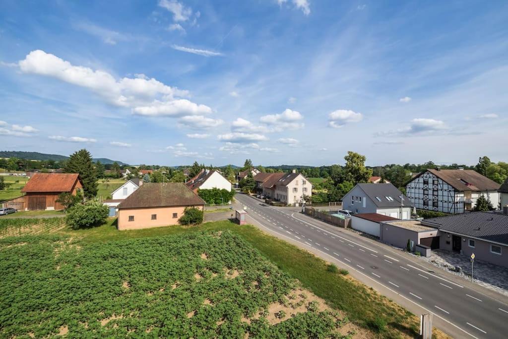 Luxury Apartment On The Rhein ビュージンゲン・アム・ホッホライン エクステリア 写真