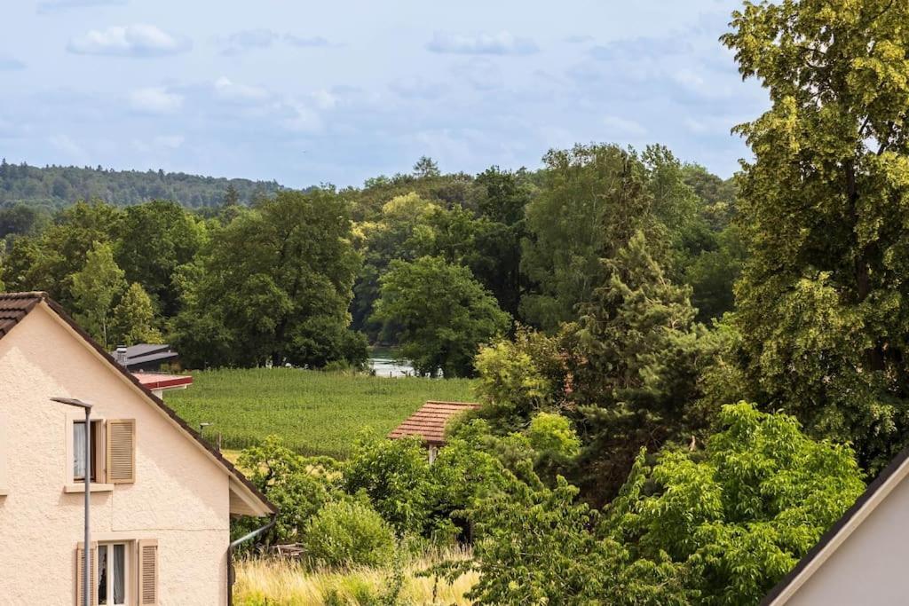 Luxury Apartment On The Rhein ビュージンゲン・アム・ホッホライン エクステリア 写真