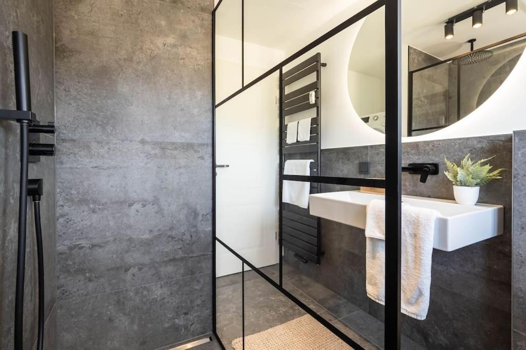 Luxury Apartment On The Rhein ビュージンゲン・アム・ホッホライン エクステリア 写真