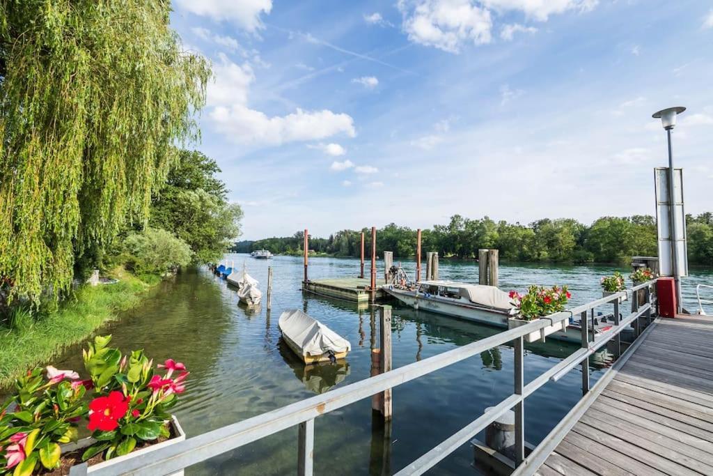 Luxury Apartment On The Rhein ビュージンゲン・アム・ホッホライン エクステリア 写真