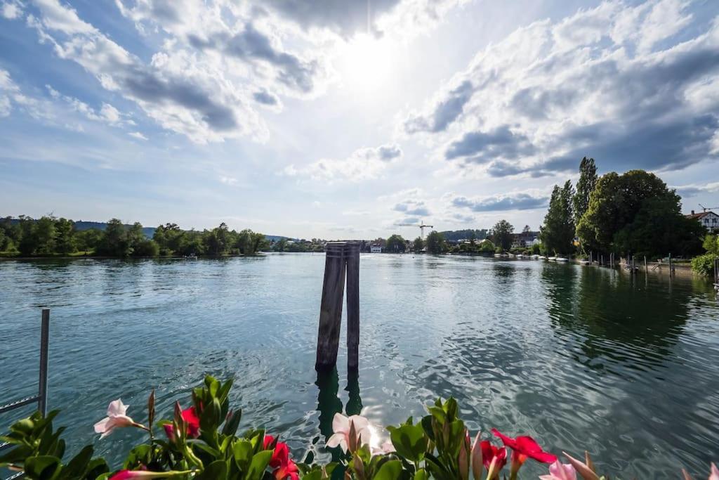 Luxury Apartment On The Rhein ビュージンゲン・アム・ホッホライン エクステリア 写真