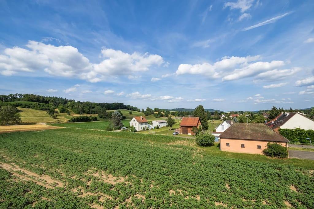 Luxury Apartment On The Rhein ビュージンゲン・アム・ホッホライン エクステリア 写真